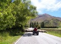 A New Zealand type of traffic jam
